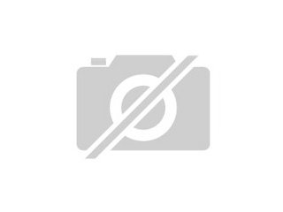 Sie suchen einen guten Trader